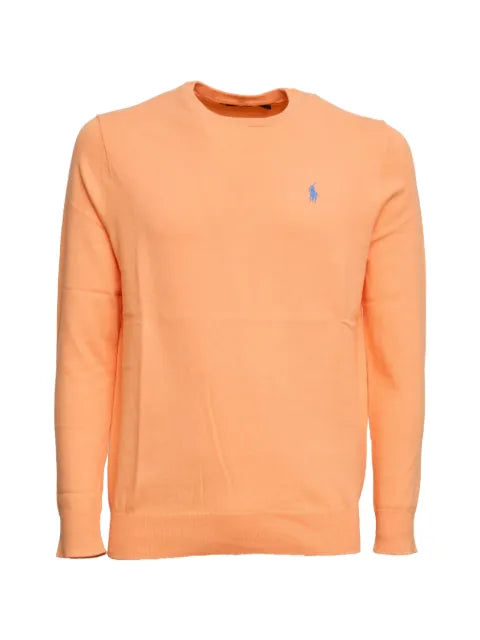 Polo Ralph Lauren embroidered slim-fit sweater